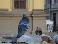 Imagine atasata: Reabilitare centru - 2015.03.20 - 36.jpg